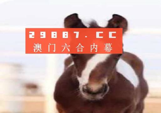 澳門100%最準(zhǔn)一肖一碼，揭秘背后的秘密，澳門最準(zhǔn)一肖一碼揭秘，真相背后的秘密探索