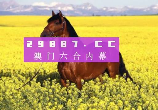 澳門六開(kāi)彩資料免費(fèi)大全今天——全面解讀彩票資訊，澳門六開(kāi)彩資料免費(fèi)解讀，今天全面揭示彩票資訊