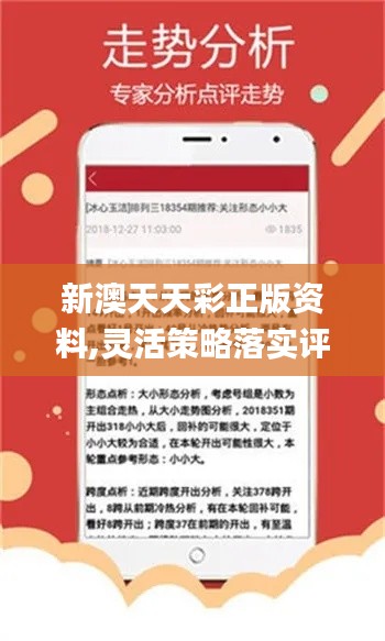 新澳天天彩正版免費資料解析，新澳天天彩正版免費資料深度解析