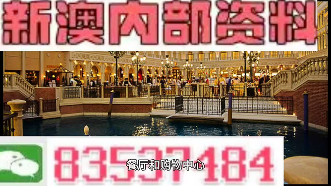 新門內(nèi)部資料精準(zhǔn)大全，新門內(nèi)部資料精準(zhǔn)大全揭秘