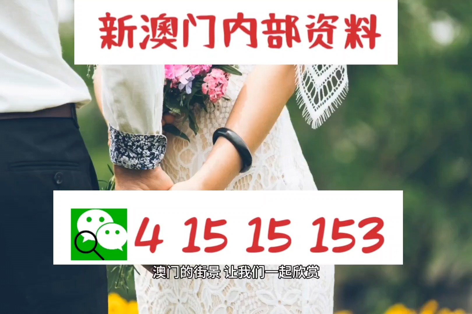新澳新澳門正版資料，新澳新澳門正版資料概覽
