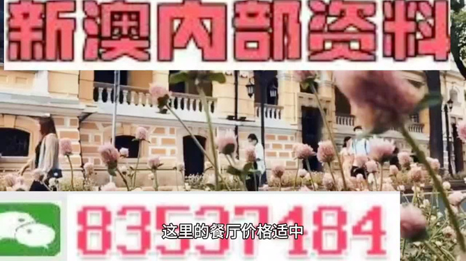 澳門最精準免費資料大全旅游團——探索澳門魅力的絕佳選擇，澳門旅游團，探索澳門魅力的精準免費資料大全