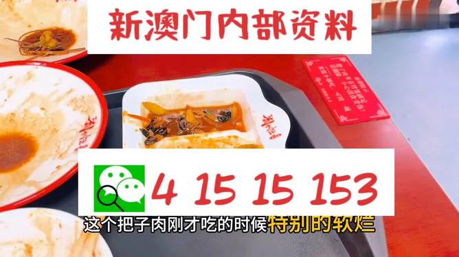 澳門王中王六碼新澳門，揭秘彩票背后的故事，澳門王中王六碼揭秘，彩票背后的故事探索