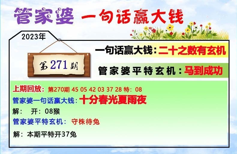 揭秘202管家婆一肖一碼，揭秘背后的秘密，揭秘202管家婆一肖一碼真相，揭開神秘面紗背后的秘密