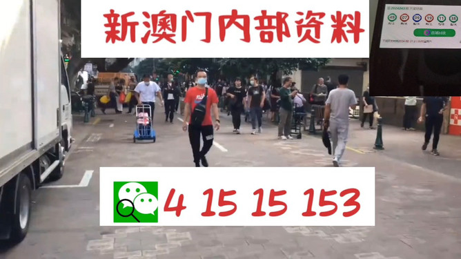 揭秘77778888管家婆老家必中之謎，一網(wǎng)打盡的背后故事，揭秘77778888管家婆，老家必中之謎的背后真相一網(wǎng)打盡