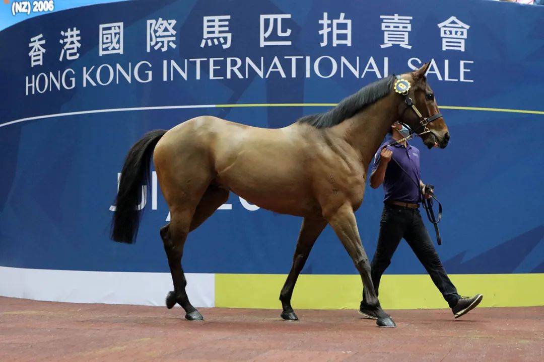 馬會香港新紀(jì)元，探索數(shù)字時代的無限可能 7777788888，馬會香港新紀(jì)元，數(shù)字時代的無限潛能探索
