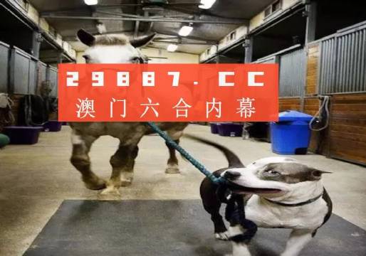 澳門一肖一碼一必中，同舟共濟(jì)勇前進(jìn)，澳門一肖一碼精準(zhǔn)預(yù)測(cè)，同舟共濟(jì)勇攀高峰