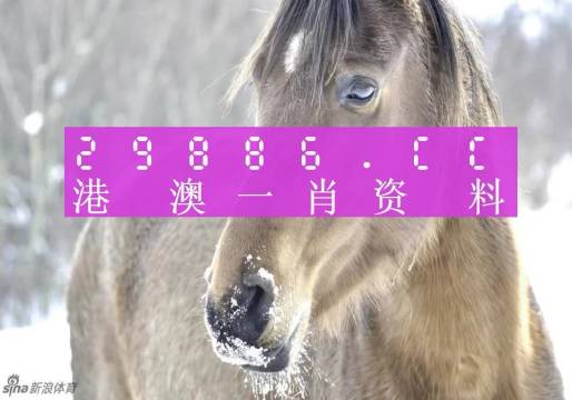 澳門一肖一碼，揭秘背后的秘密與真相，澳門一肖一碼揭秘背后的秘密真相大揭秘
