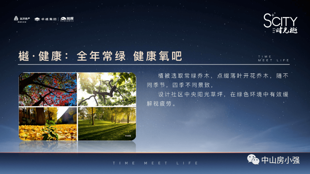 2025新澳門精準(zhǔn)正版免費(fèi),科學(xué)依據(jù)解析說明_8