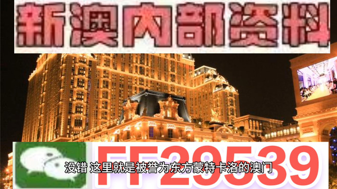 探索未來，2025年澳門特馬之夜，探索未來，澳門特馬之夜 2025展望