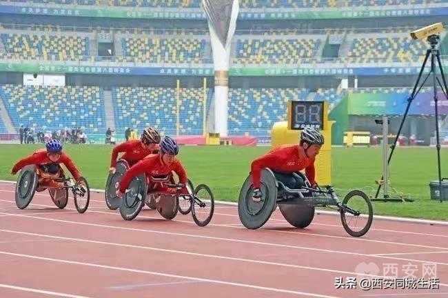 探索未來，2025新澳門精準(zhǔn)免費(fèi)大全，探索未來，2025新澳門精準(zhǔn)免費(fèi)大全概覽