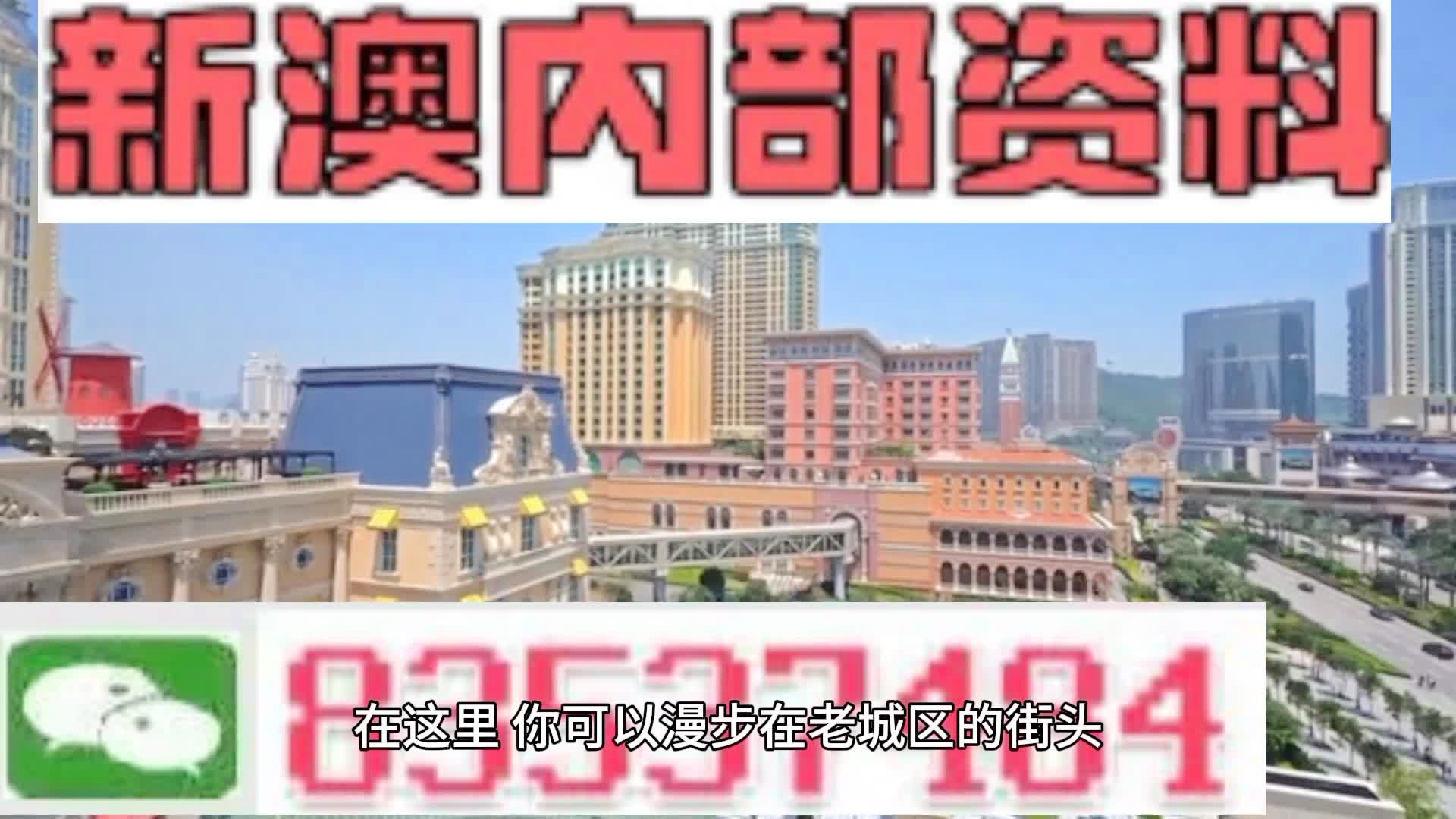 新澳門精準四肖期期準，探索博彩文化的魅力，澳門博彩文化探索，精準四肖的魅力所在