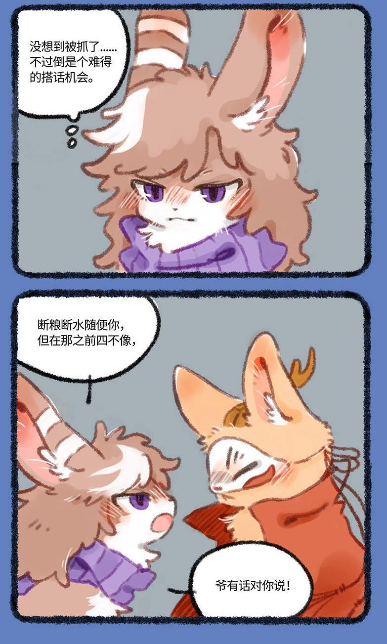 四不像的神秘面紗，今晚必中一肖揭秘，四不像神秘面紗揭曉，今晚生肖揭秘一探究竟