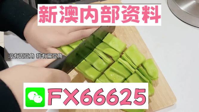 新澳精準資料大揭秘，免費提供的背后故事，新澳精準資料揭秘，免費背后的故事