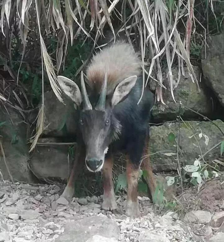 揭曉 第5頁