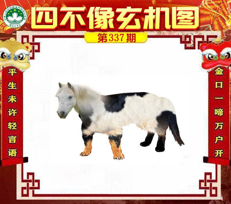 必中一肖一碼