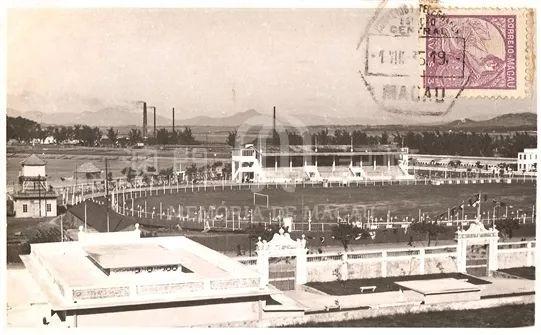 揭秘澳門跑狗圖，探尋精準(zhǔn)預(yù)測之秘，展望未來的跑狗新篇章，澳門跑狗圖揭秘，精準(zhǔn)預(yù)測之秘與未來展望