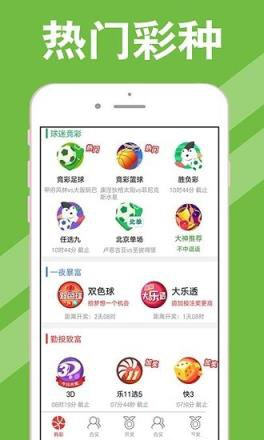 新澳天天開獎資料大全最新54期，新澳天天開獎資料大全第54期最新匯總