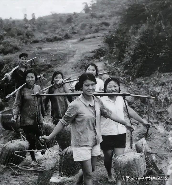 免費(fèi)下載49圖庫，海量美圖資源一網(wǎng)打盡，海量美圖資源免費(fèi)下載，49圖庫一網(wǎng)打盡