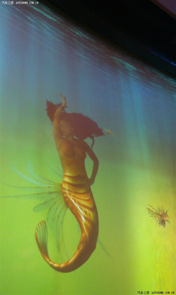 澳門美人魚，澳門美人魚表演，魅力海洋的夢(mèng)幻之旅