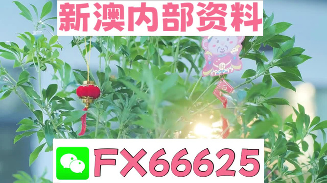 新澳精準資料免費提供網(wǎng)站，新澳精準資料免費分享平臺