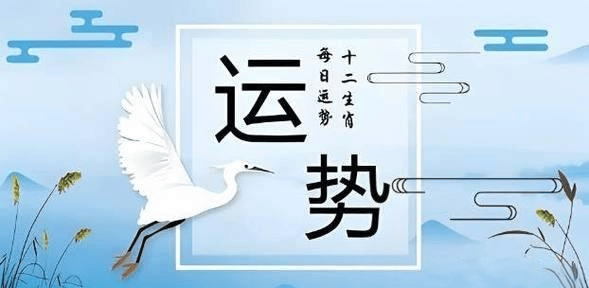 2025新澳精準資料大全，2025新澳精準資料大全手冊