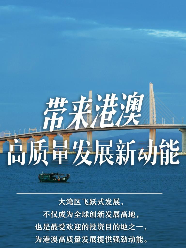 揭秘2025新澳門精準免費大全，揭秘2025新澳門精準免費大全資料全解析