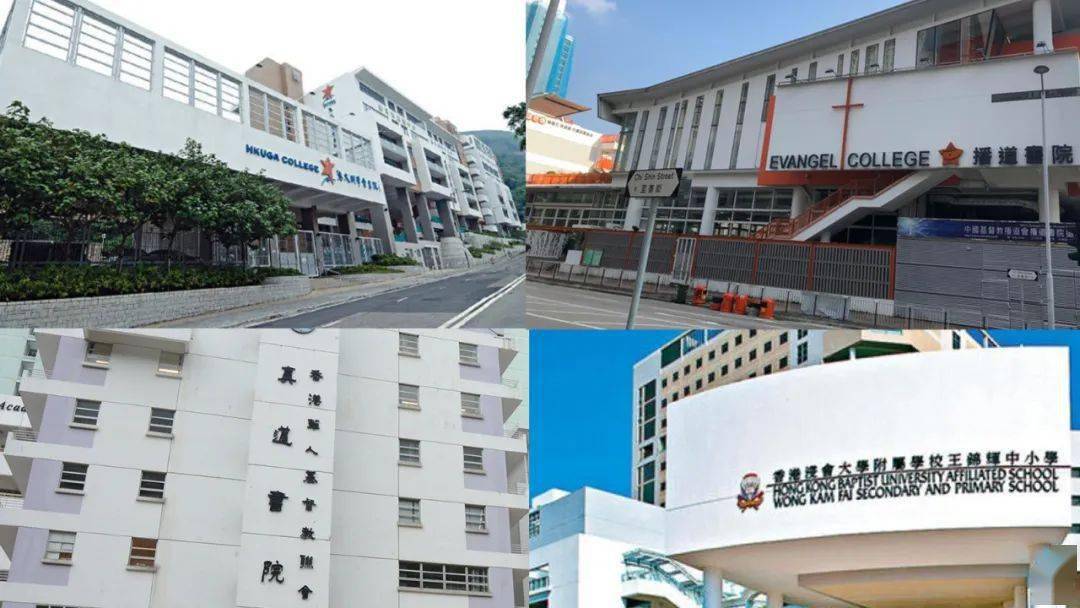 香港免費(fèi)公開資料大全，香港免費(fèi)公開資料大全概覽