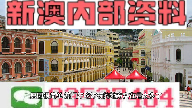澳門風(fēng)采，探索2021年澳門資料大全，澳門風(fēng)采揭秘，2021年澳門資料大全探索