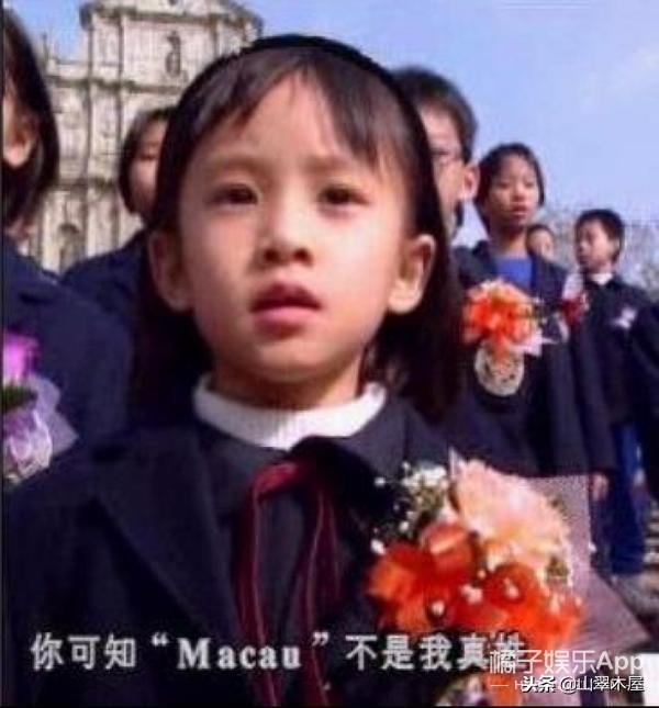 新澳門天天彩是不是官方的，新澳門天天彩是否為官方揭秘
