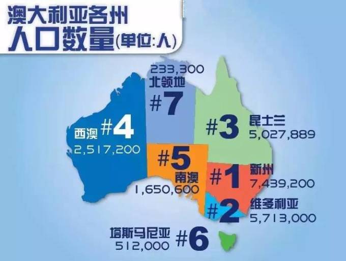 新澳2025年一肖一馬中特，新澳2025年一肖一馬中特預(yù)測與解析