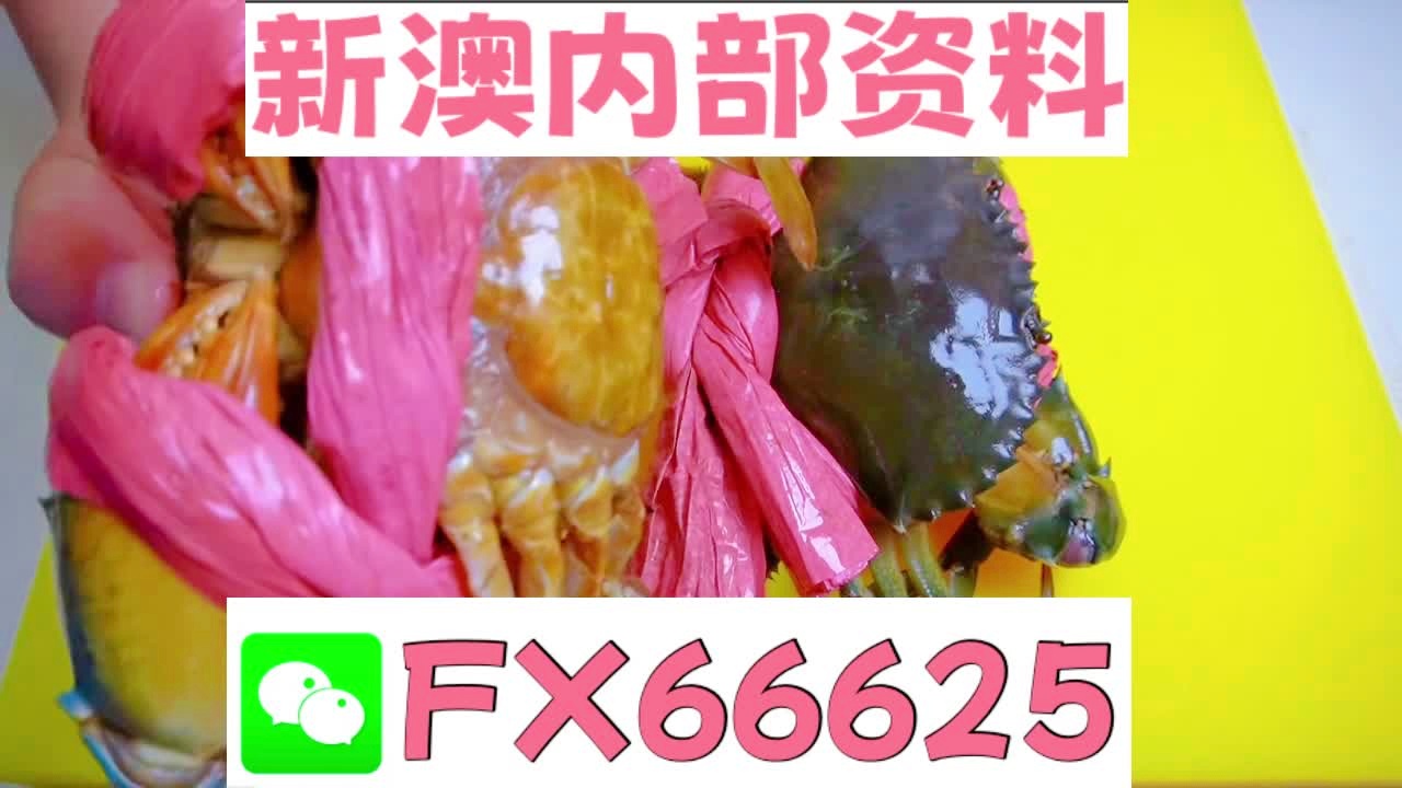 揭秘2025新澳精準(zhǔn)資料大全，深度解析與概述，揭秘2025新澳精準(zhǔn)資料大全，深度解析與全面概述