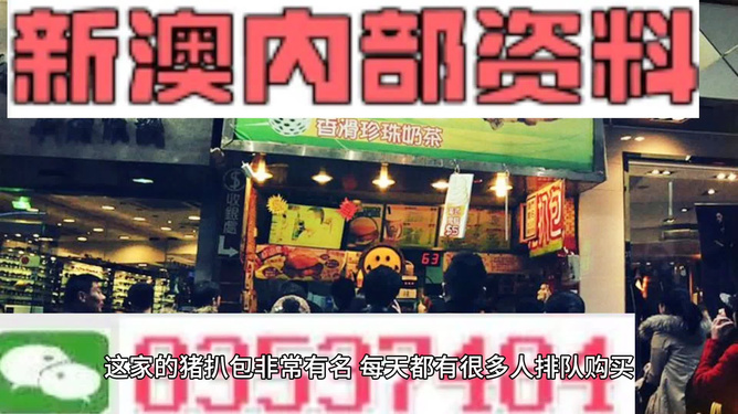 2025新澳精準(zhǔn)資料大全解釋，2025新澳精準(zhǔn)資料大全詳解