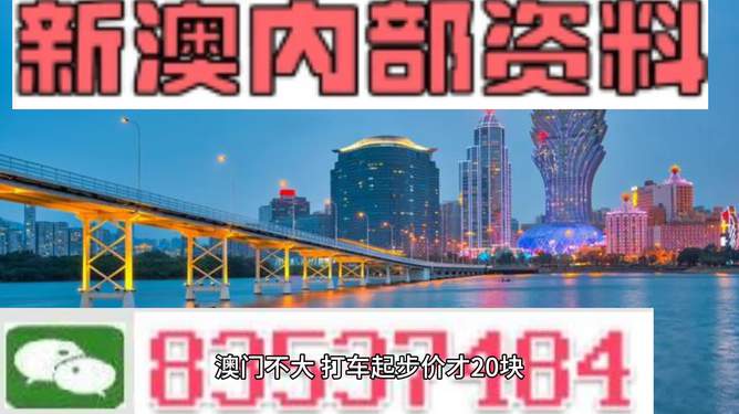 澳門最準(zhǔn)最快的免費(fèi)的233期，揭秘與探索，澳門最準(zhǔn)最快的免費(fèi)彩票揭秘探索，第233期獨(dú)家解讀