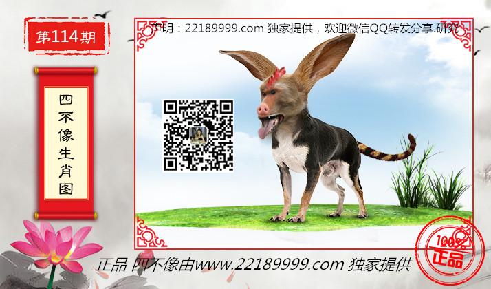 四不像正版資料查看，四不像正版資料詳查