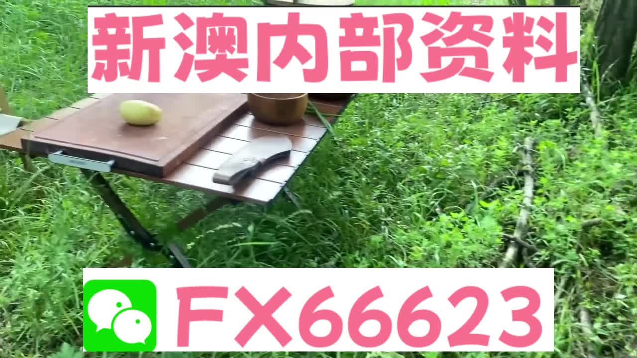 2025新澳精準(zhǔn)資料大全解釋，2025新澳精準(zhǔn)資料大全詳解